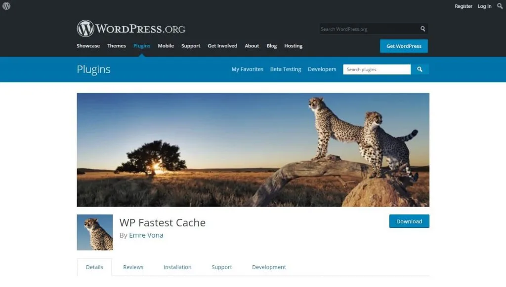 Improve Website Speed